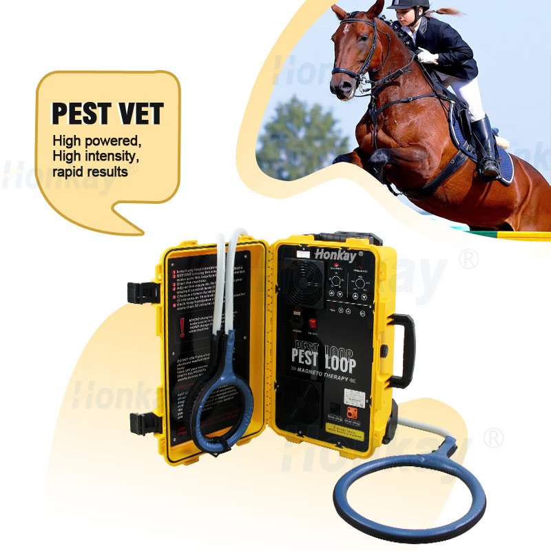 Pest Loop Equine Loop Horse Equipment